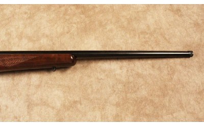 CZ~452-2E ZKM~.17HMR - Image 4 of 10