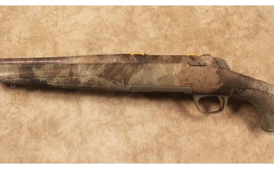 Browning~X-Bolt~.22-250 Remington - Image 6 of 10