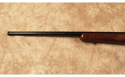CZ~452-2E ZKM~.17HMR - Image 7 of 10