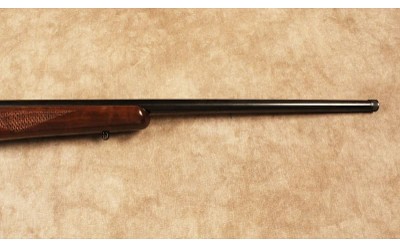 CZ~452-2E ZKM~.17HMR - Image 4 of 10