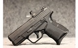 Springfield ~ XDS 9 3.3 ~ 9mm - 2 of 2