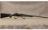 Remington ~ 700 ~ .300 Winchester Magnum