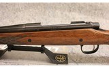 Remington ~ 700 ~ 7mm Remington Magnum - 8 of 10