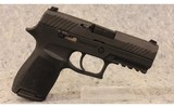 SIG Sauer ~ P320 ~ 9mm Luger