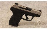 Ruger ~ LCP Max ~ .380 Auto