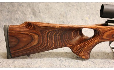 Savage ~ 25 ~ .223 Remington