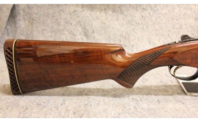 Browning ~ Lightning ~ 12 Gauge
