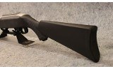 Ruger ~ 10/22 ~ .22 Long Rifle - 9 of 10
