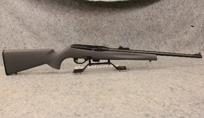 Remington ~ 597 ~ .22 Long Rifle