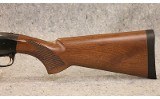 Browning ~ BPS Special Steel ~ 12 Gauge - 8 of 9