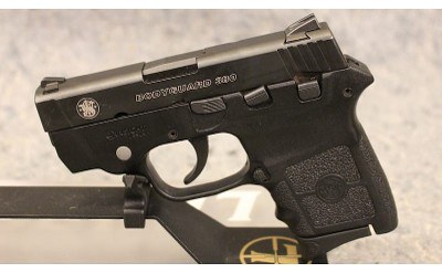 Smith & Wesson ~ Bodyguard 380 ~ .380 Auto - Image 2 of 3