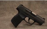 SIG Sauer ~ P365 ~ .380 ACP - 1 of 2