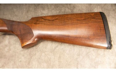 Bettinsoli ~ X- Trail ~ 12 Gauge - Image 7 of 10