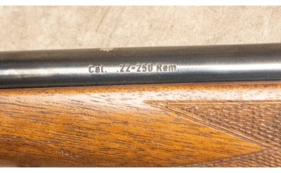 Heym ~ SR21 ~ .22-250 Rem - Image 10 of 10
