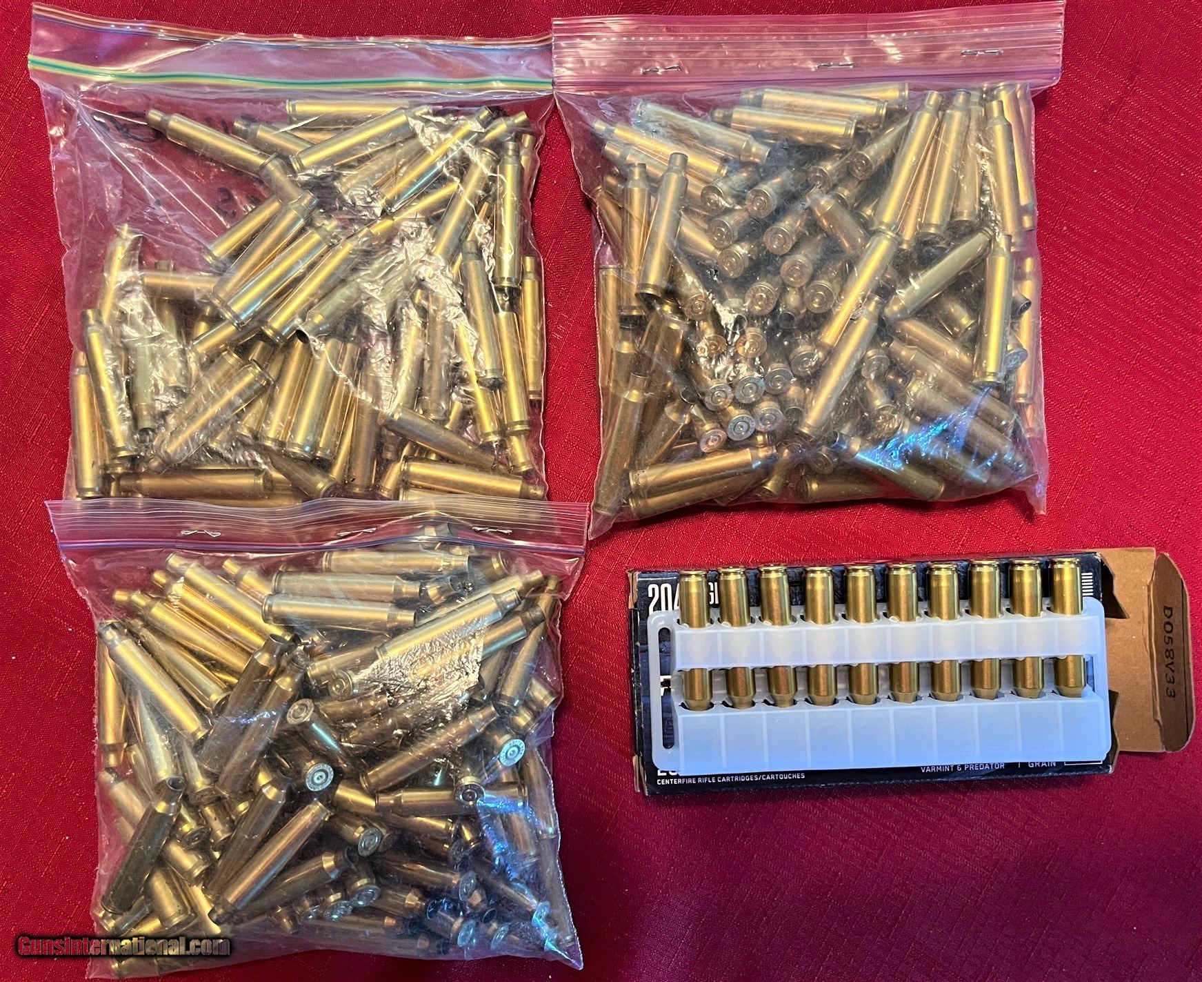 Once Fired 204 Ruger Brass