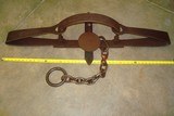 Newhouse Number 6 Grizzly Bear Trap - 4 of 4