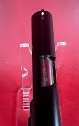 Para Ordnance P12 .45acp 3