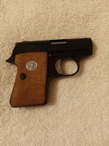 Colt - 1 of 8