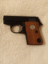 Colt - 2 of 8