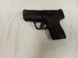 Smith & Wesson M & P Shield Plus NTS - 1 of 8