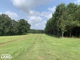 180 Acres of Louisiana Prime Hunting and Fishing Claiborne Parish - 8 of 13