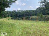 180 Acres of Louisiana Prime Hunting and Fishing Claiborne Parish - 4 of 13