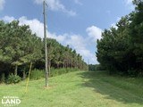 180 Acres of Louisiana Prime Hunting and Fishing Claiborne Parish - 9 of 13