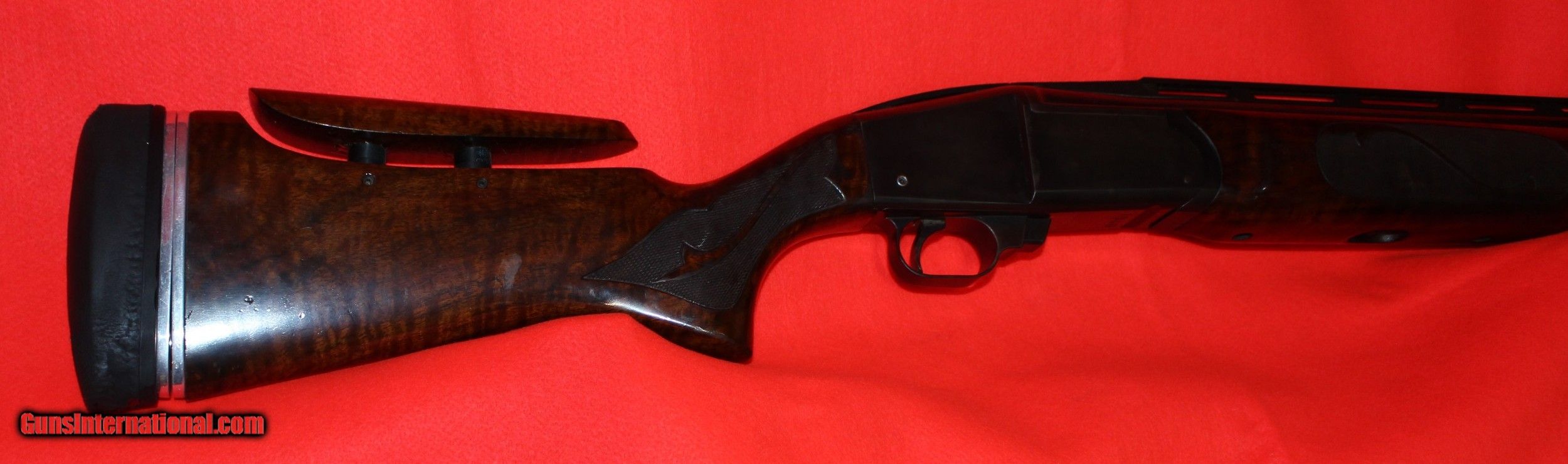 Ljutic Bi-Gun