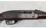 Remington~Nylon 66~.22 LR - 3 of 10