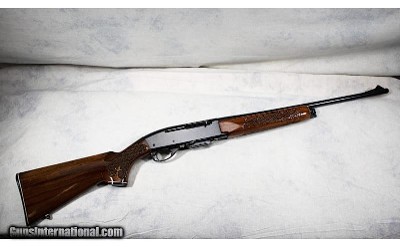 Remington ~ 742 Woodsmaster ~ .30-06 Sprg.