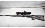 Savage Arms ~ A22 Target Semi-Auto ~ .22 LR - 1 of 10
