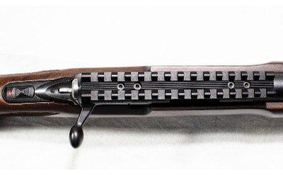 Browning ~ T-Bolt Target/Varmint ~ .22 LR - Image 10 of 13