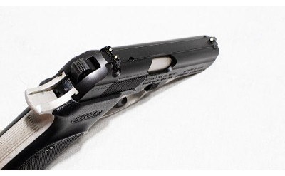 Bersa ~ Thunder 380 ~ .380 ACP - Image 2 of 4