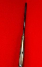 *sold pending funds*Ruger 77 Mark II .204 Ruger - 15 of 15