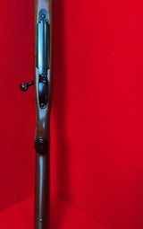 *sold pending funds*Winchester Model 70 .243 SA XTR Featherweight LNIB - 14 of 16