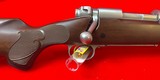 Winchester Model 70 Classic Featherweight Stainless - 22-250 Short Action - 4 of 13