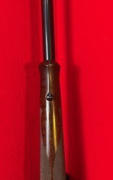 Winchester Model 70 Classic Featherweight 243 Short Action - 17 of 18