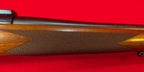 Excellent Winchester Model 70 Classic Sporter .264 Win Mag - 13 of 19