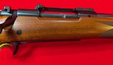 Excellent Winchester Model 70 Classic Sporter .264 Win Mag - 12 of 19