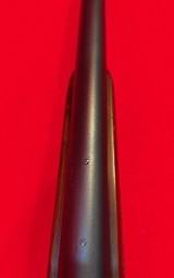 1956 Winchester Model 70 Varmint 243 Pre-64 - 8 of 20