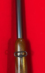 1956 Winchester Model 70 Varmint 243 Pre-64 - 19 of 20