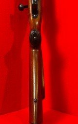 Winchester Model 70 Classic Sporter 264 Win Mag - 13 of 15