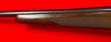 Winchester Model 70 Classic Sporter 264 Win Mag - 8 of 15