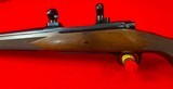 Winchester Model 70 Classic Sporter 264 Win Mag - 3 of 15