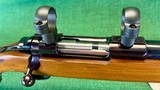 Ruger M77with Heavy Varmint Barrel w/ Factory Scope Rings.220 Swift - 10 of 13