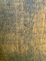 Tikka Finnish Mosin-Nagant M91/30 7.62X54mmR - 12 of 17