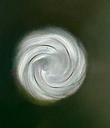 Remington 700 Varmint Special First Model.243 Winchester - Image 17 of 17