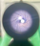 Winchester 1886 UnmolestedANTIQUE.45-90 Winchester - Image 15 of 18