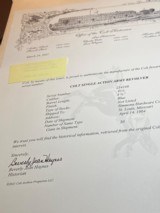 COLT SAA GEN 1.41 COLT - 13 of 13