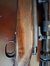 Winchester - 1 of 13
